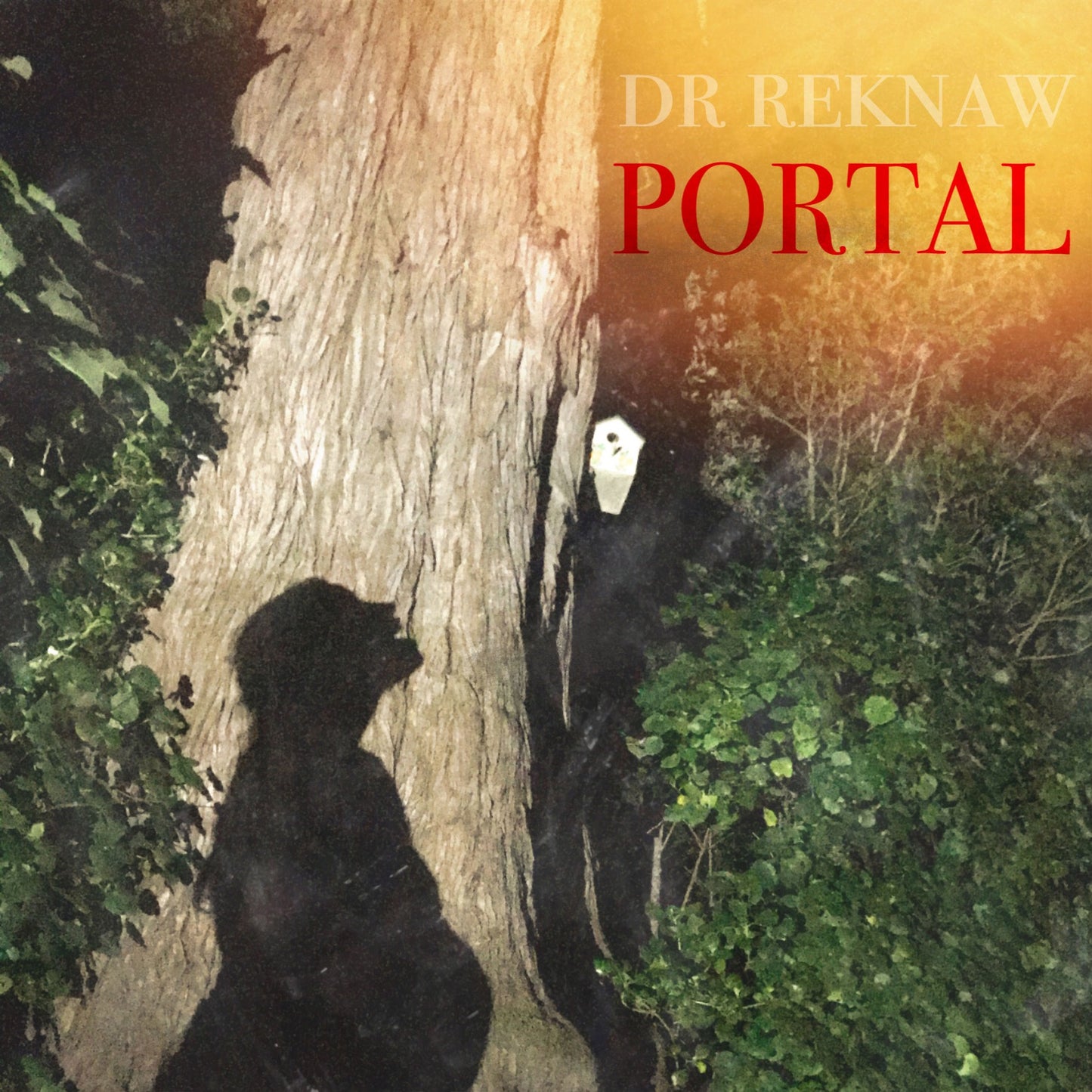 Portal lyric & chord ebook